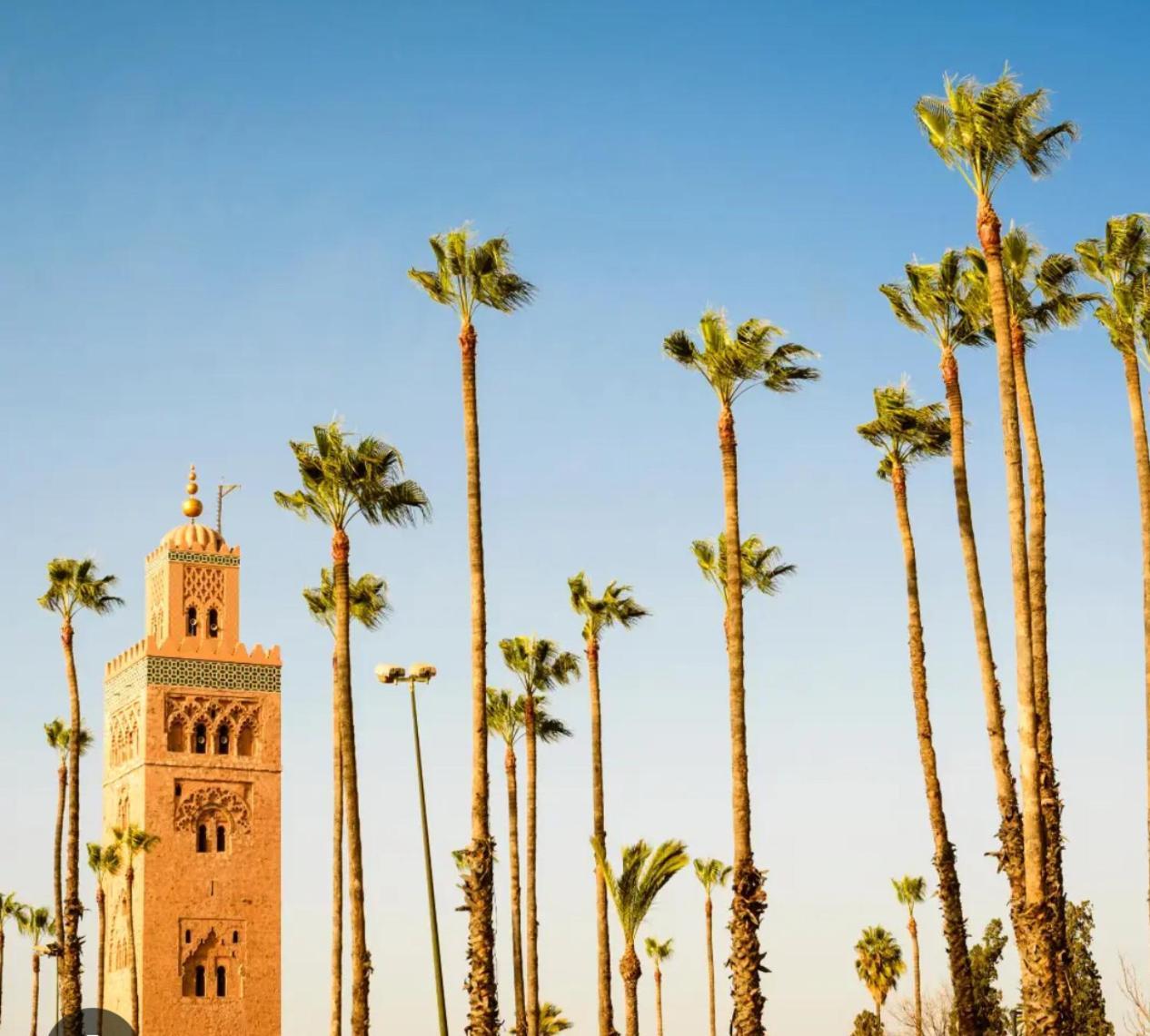 Magnifique Appartement Spacieux Confort Propre Familial 2 Chambres Salon Et Salle A Manger A 20Mn A Pied De Place Jemaa El Fina 4 Piscines Dans Espace De Golf A 12 Mn En Voitures L Entree Est Gratuit Pour La Clientele Ouvert Entre 10H Et 20H Marrakesh Exteriör bild